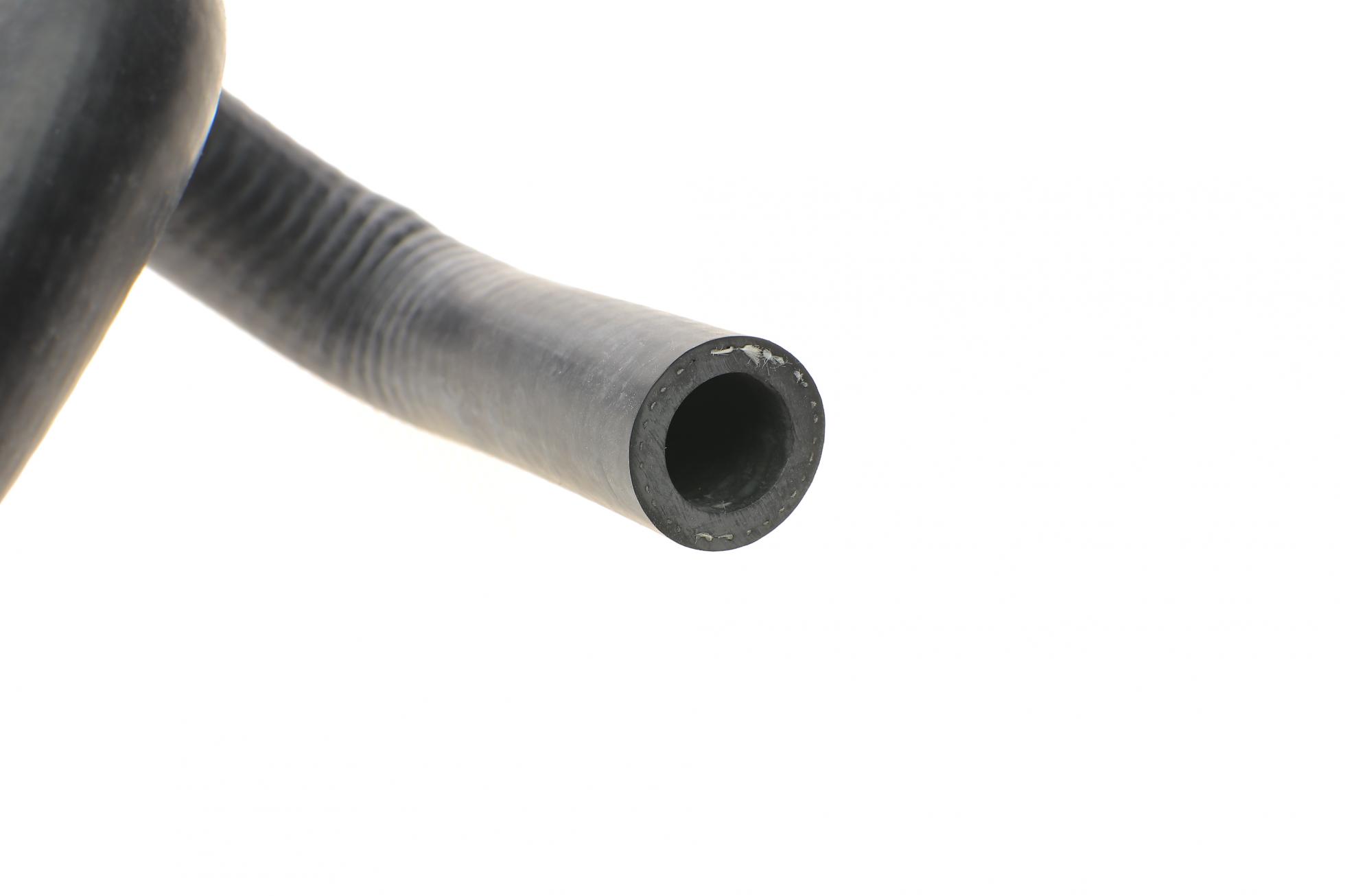 CS81360 DP GROUP